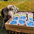 Frozen Raw Food - The Pure Case
