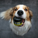 Tooth Powder For Dogs