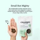Natural Dental Dog Treat - Fresh Bites - Spearmint