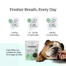 Natural Dental Dog Treat - Fresh Bites - Spearmint