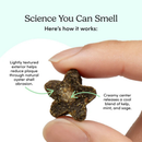 Natural Dental Dog Treat - Fresh Bites - Spearmint