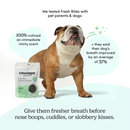 Natural Dental Dog Treat - Fresh Bites - Spearmint