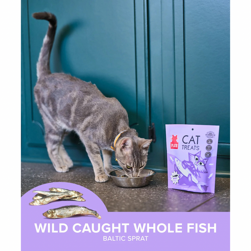 Air Dried Cat Treat - Sprat Whole Fish