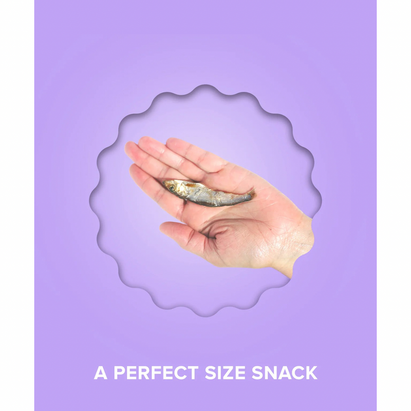 Air Dried Cat Treat - Sprat Whole Fish