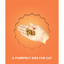 Air Dried Cat Treat - Chicken Recipe