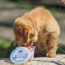 Frozen Raw Food - Pure Rabbit