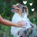 Dog Wipes - Puppy Wipes