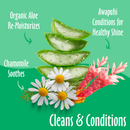 Dog & Cat Grooming Wipes - Green Tea & Awapuhi