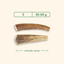 狗咬棒 - 整段鹿角 - 天然原味