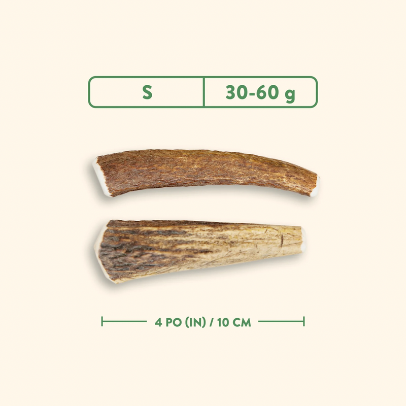 狗咬棒 - 整段鹿角 - 天然原味