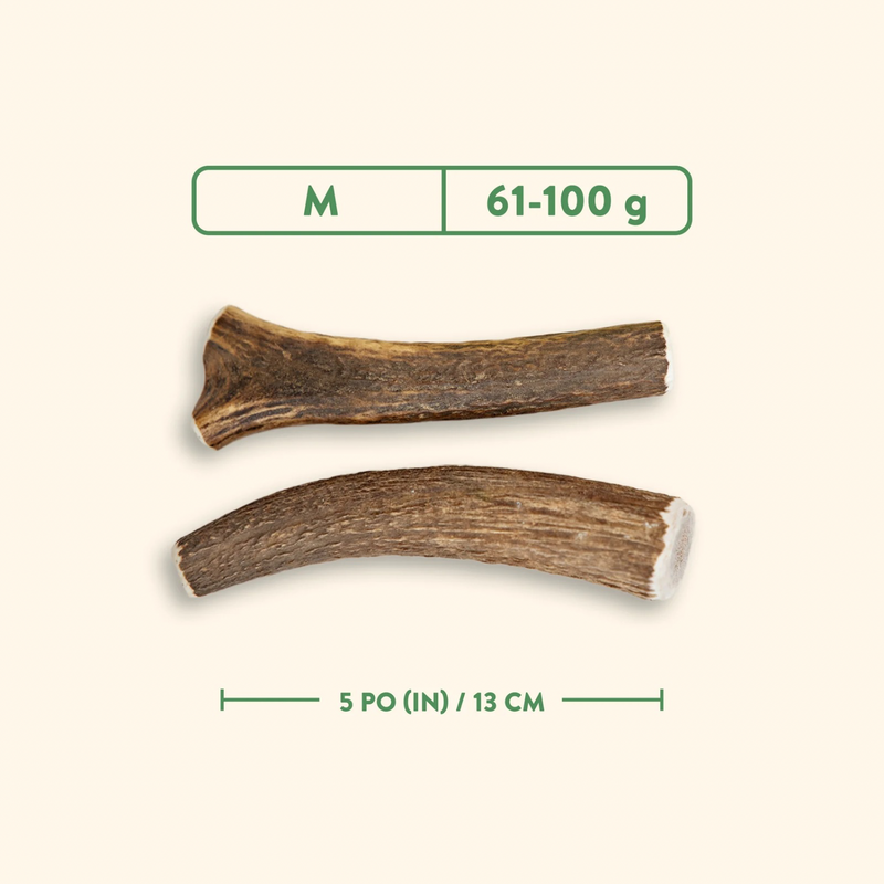 狗咬棒 - 整段鹿角 - 天然原味