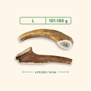 狗咬棒 - 整段鹿角 - 天然原味