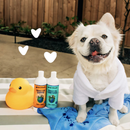 Dog & Cat Shampoo - Oatmeal & Aloe Itch Relief - Vanilla & Almond