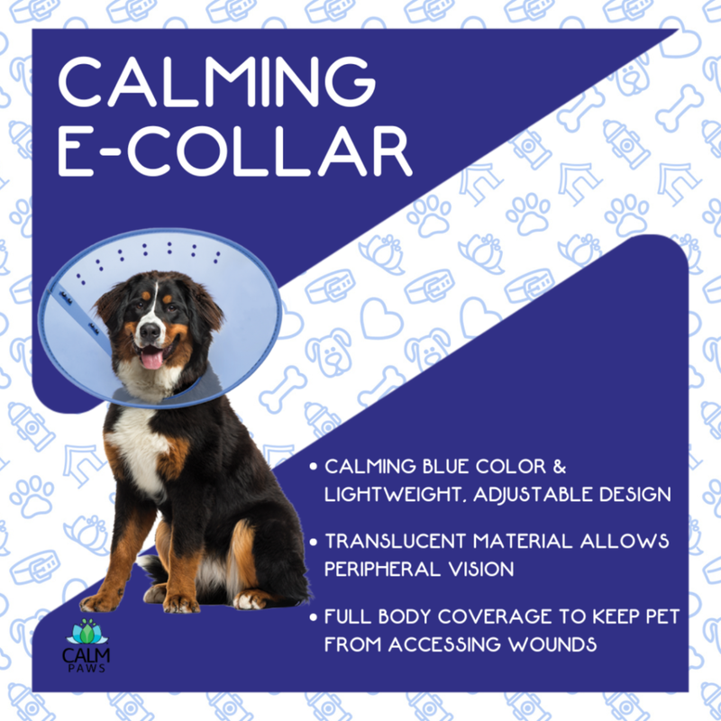 Calming E-Collar