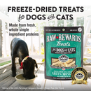 Freeze Dried Treat for Dogs & Cats - RAW REWARDS - New Zealand Green Mussels - 2 oz