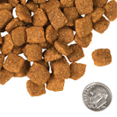 Nourriture pour chiens sèches - Four Star - Chicken à la Veg Recette