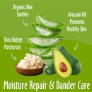 Dog & Cat Shampoo - Moisturizing Shea Butter
