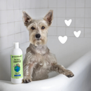 Dog & Cat Shampoo - Moisturizing Shea Butter
