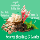 Dog & Cat Shampoo - Shed Control