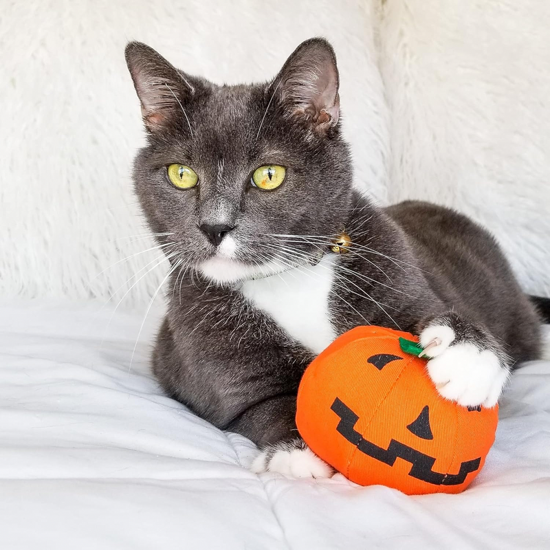 Catnip Cat Toy - Loween Pumpkin