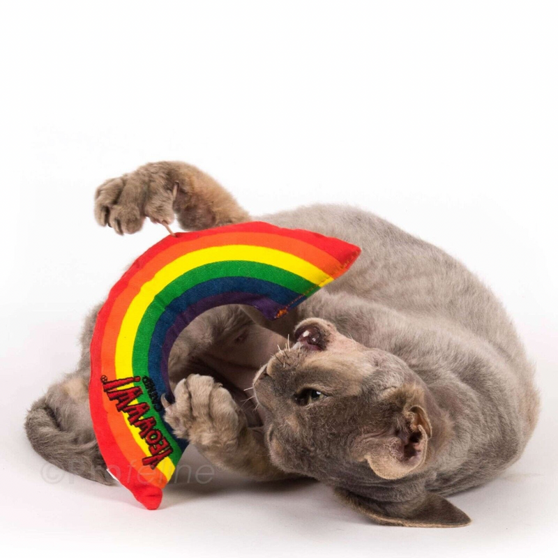 Catnip Cat Toy - Rainbow