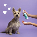 Dog & Cat Waterless Foam - Foaming Facial Wash