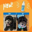 Dog & Cat Waterless Foam - Foaming Facial Wash