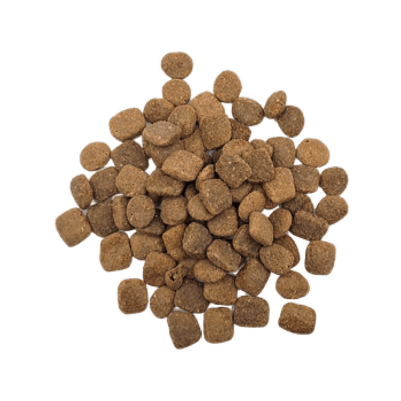 Dry Dog Food - LIMITED RECIPE - Wild Caught Salmon Recipe