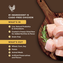 Dry Cat Food - ULTIMATE PROTEIN - Raw Coated - Cage Free Chicken Recipe