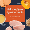 Freeze Dried Cat Food Topper - RAW BOOST MIXERS - Digestive Health