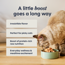 Freeze Dried Cat Food Topper - RAW BOOST MIXERS - Digestive Health
