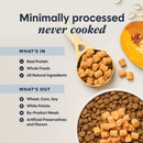 Freeze Dried Cat Food Topper - RAW BOOST MIXERS - Digestive Health