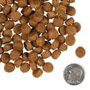 Nourriture de chien sec - or - petite race d'or adulte
