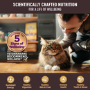 Canned Cat Food - CORE Pâté - KITTEN Turkey & Chicken Liver Recipe