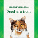 Cat Treat - Feline Pill Pockets - Salmon Flavor