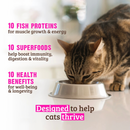 Dry Cat Food - 10+ ESSENTIALS - Fish & Dehydrated Fish