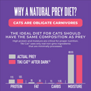 猫罐头 - 黑夜传说 - 牛肉牛肝肉酱