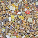 Hamster & Gerbil Food & Treat in One - SUNBURST - Gourmet Blend - 2.5 lb