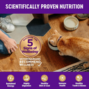Dry Cat Food - Complete Health - Wholesome Grains - Chicken - Kitten