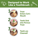 Natural Cat Dental Treat - Chicken & Salmon Flavor