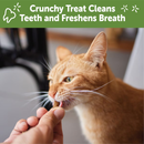Natural Cat Dental Treat - Chicken & Salmon Flavor