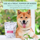 Traitements de chiens lyophilisés, agneau Tripe - 40 g