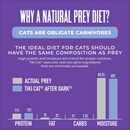 Canned Cat Food - AFTER DARK SHREDS - Variety Pack