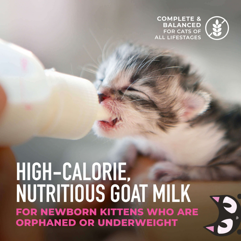 Wet Cat Food - BABY Milk Replacer with Goat's Milk - Kitten