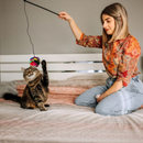 Cat Toy - 24" Tantalizer Wand