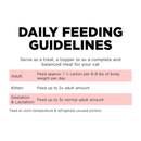 Wet Cat Food - CARNIVORE - Grain Free Salmon + Cod Pâté