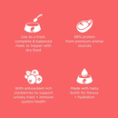 Wet Cat Food - CARNIVORE - Grain Free Salmon + Cod Pâté