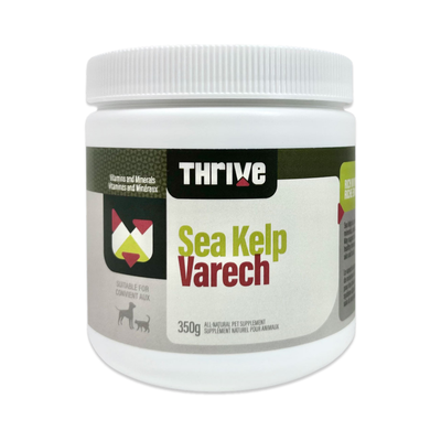 Dog & Cat Supplement - Sea Kelp
