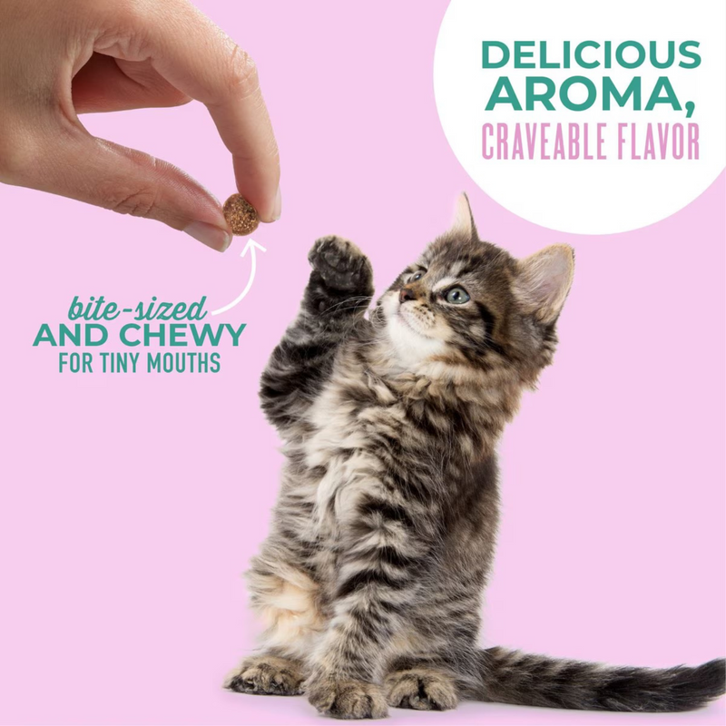 Cat Treat - BABY Soft & Chewy Mini Treats - Tuna & Salmon Flavor - Kitten