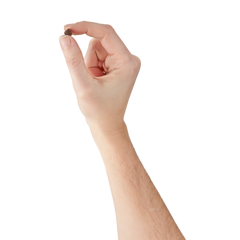 Cat Treat - BABY Soft & Chewy Mini Treats - Tuna & Salmon Flavor - Kitten